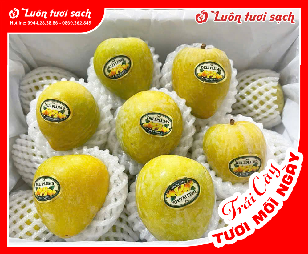 Mận Cau
